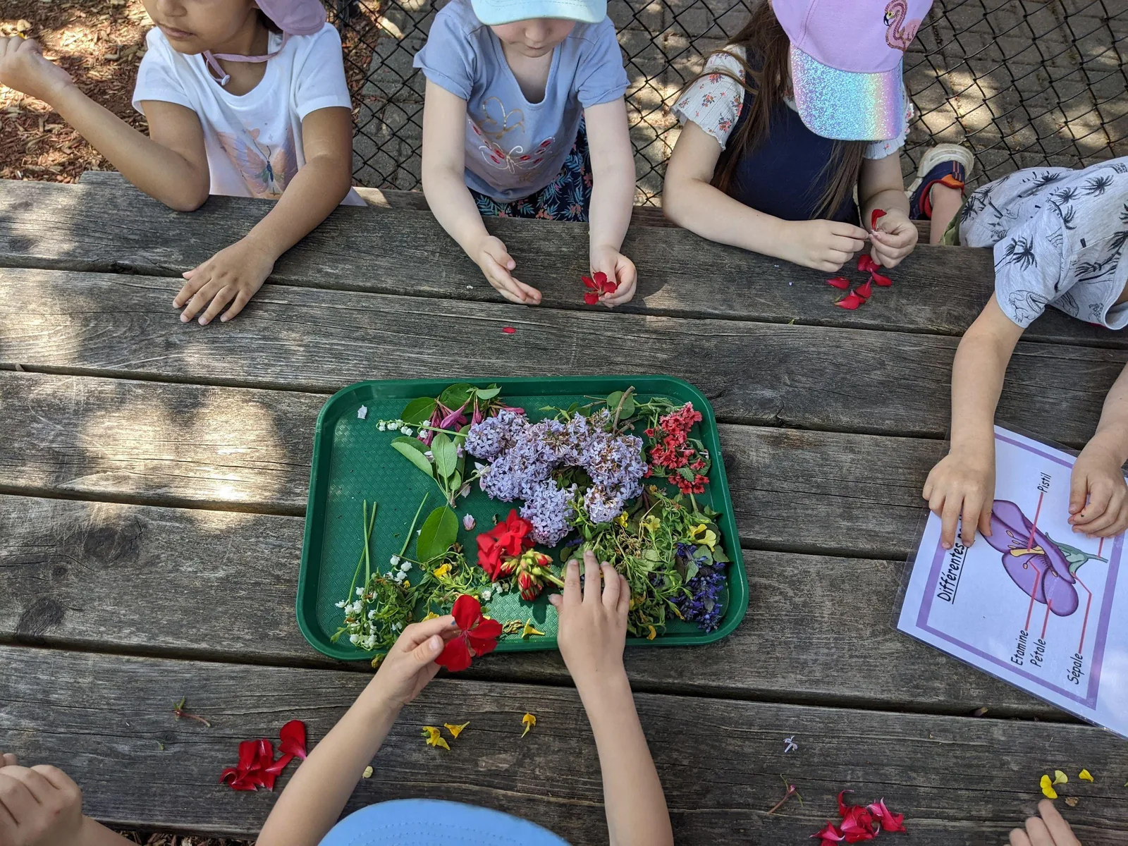 Création artistique préscolaire inspirée de la nature et des fleurs