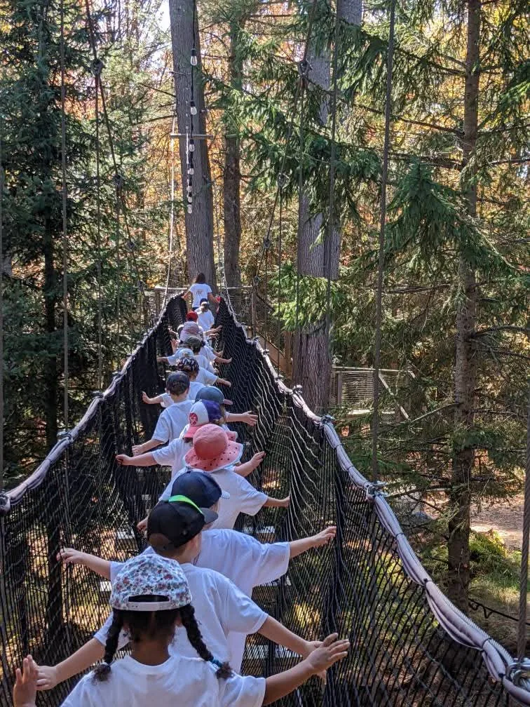 Enfants marchant sur une passerelle pendant une sortie nature
