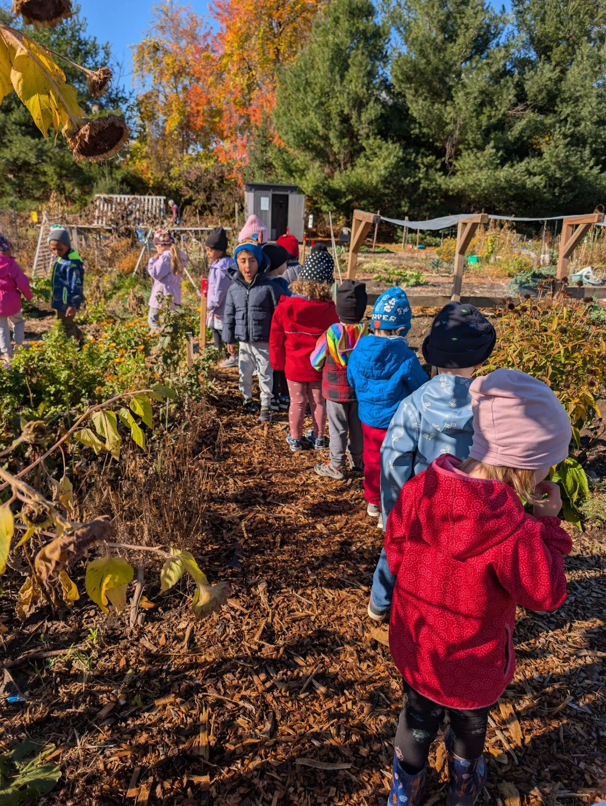 Groupe d’enfants de La petite école explorant un jardin en automne