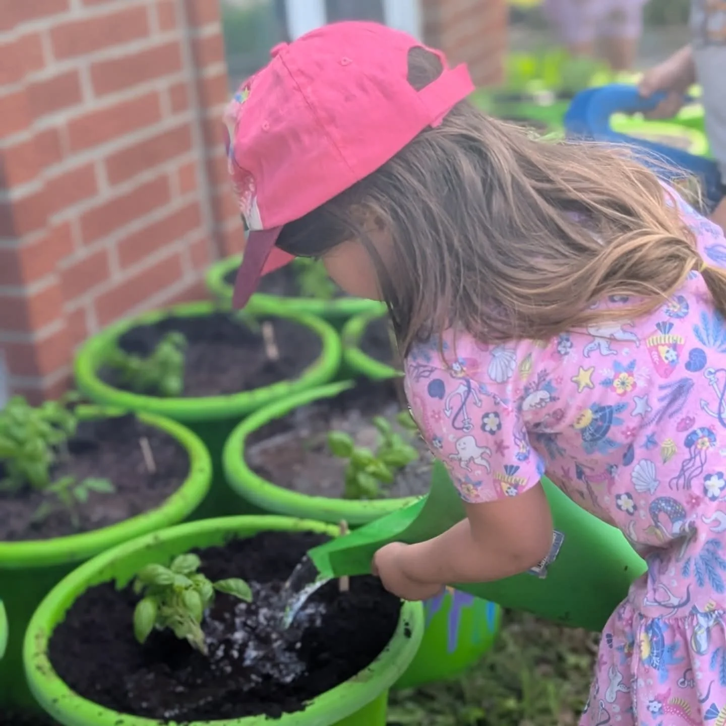 Enfant arrosant une plante dans le jardin de La petite école