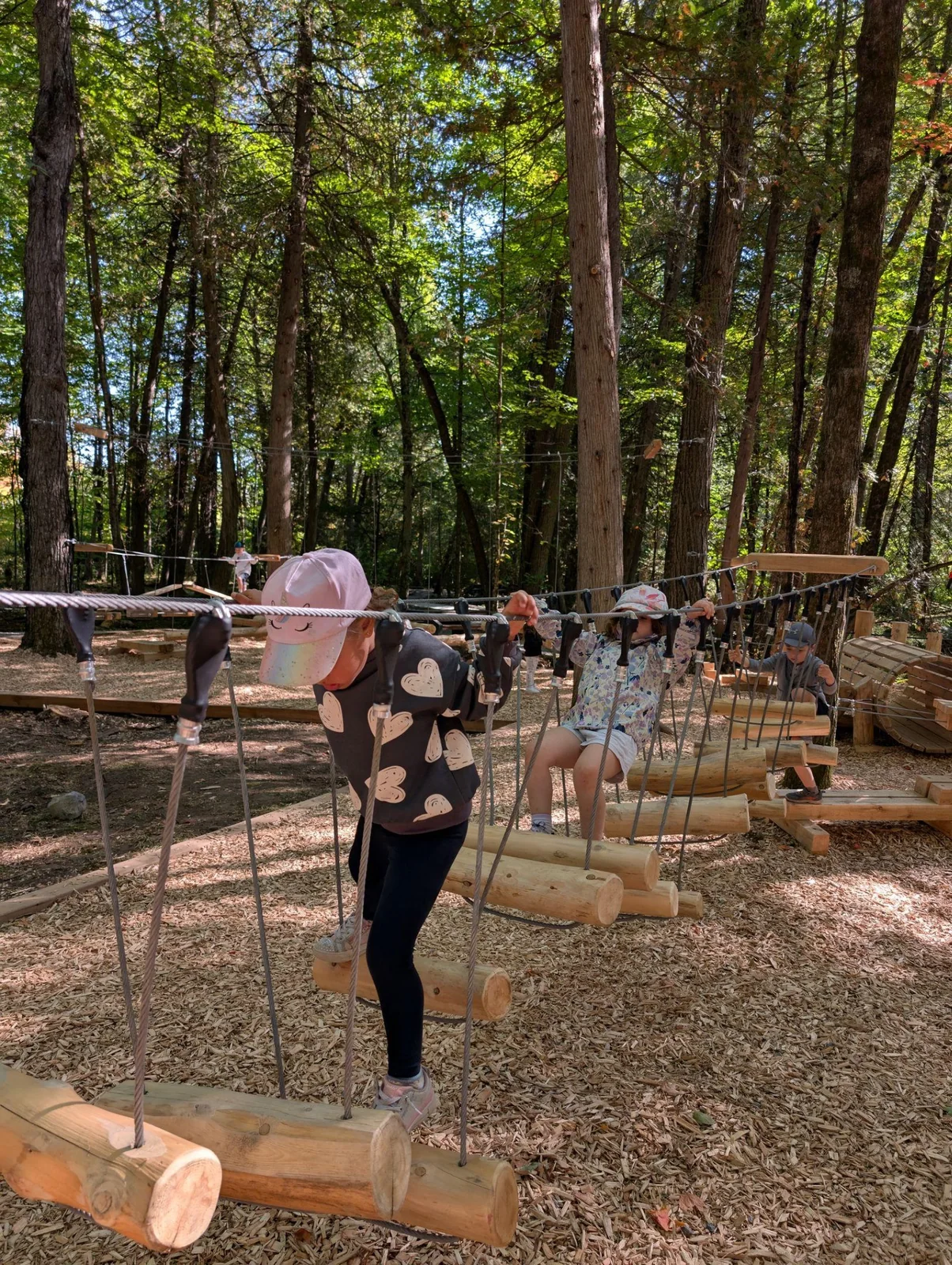 Enfants de La petite école avançant sur un parcours d’hébertisme en forêt