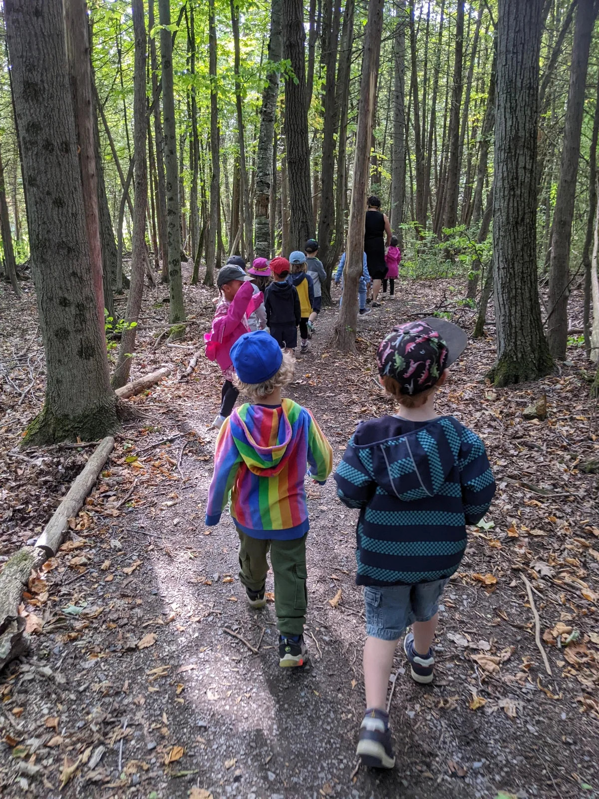 Groupe d’enfants de La petite école marchant sur un sentier en forêt