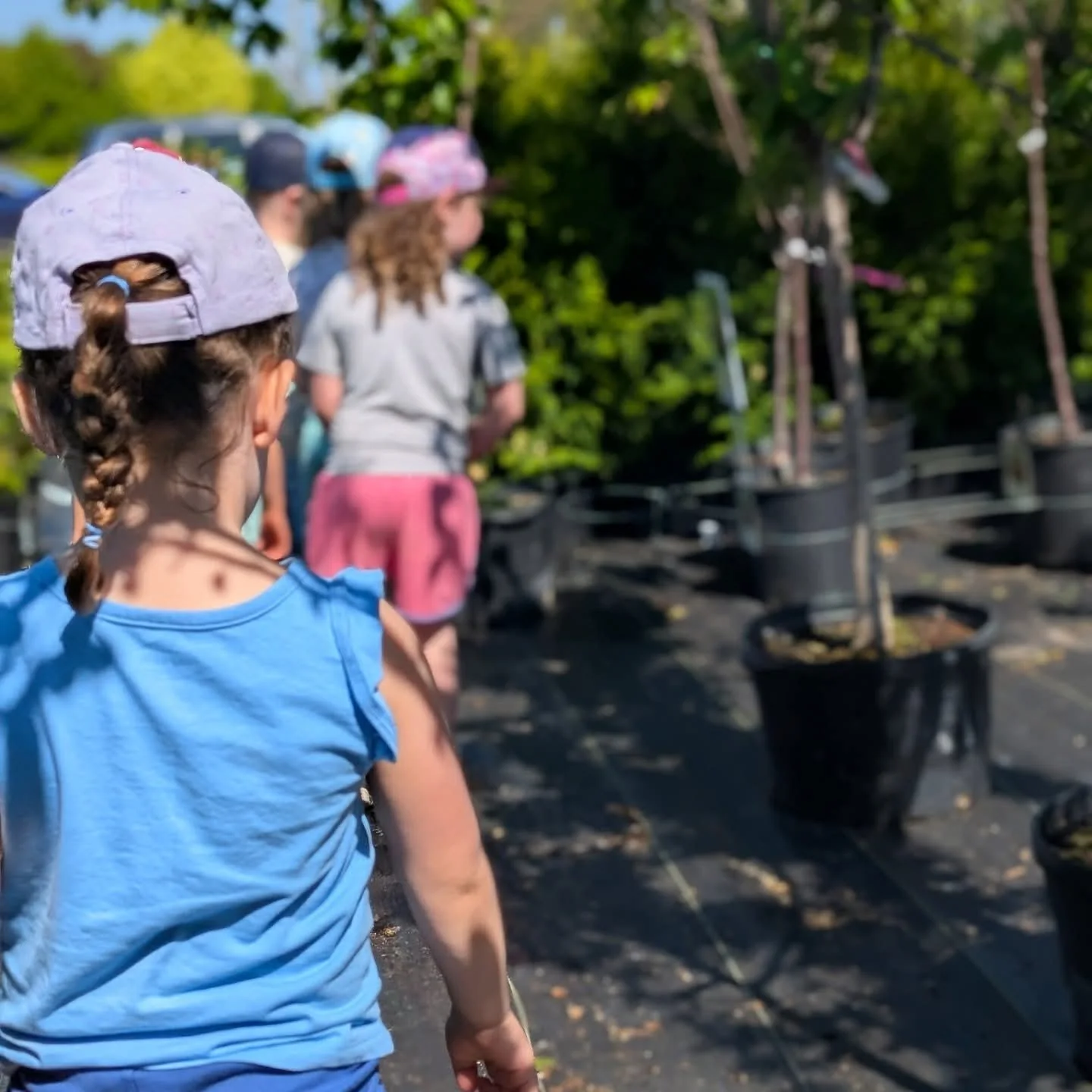 Enfants de La petite école visitant une pépinière et observant de jeunes arbres