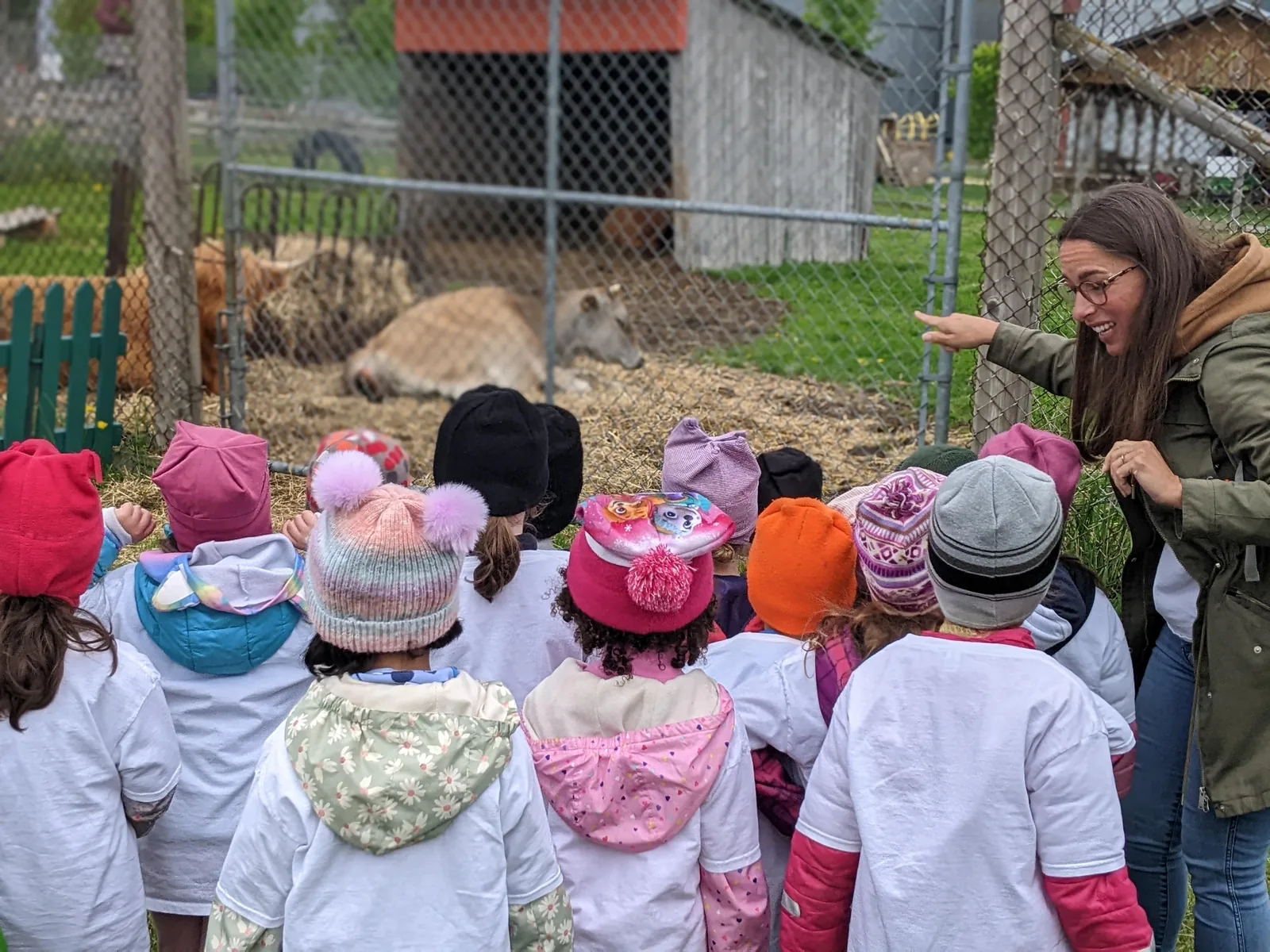 Enfants de La petite école découvrant des animaux lors d’une sortie éducative à la ferme
